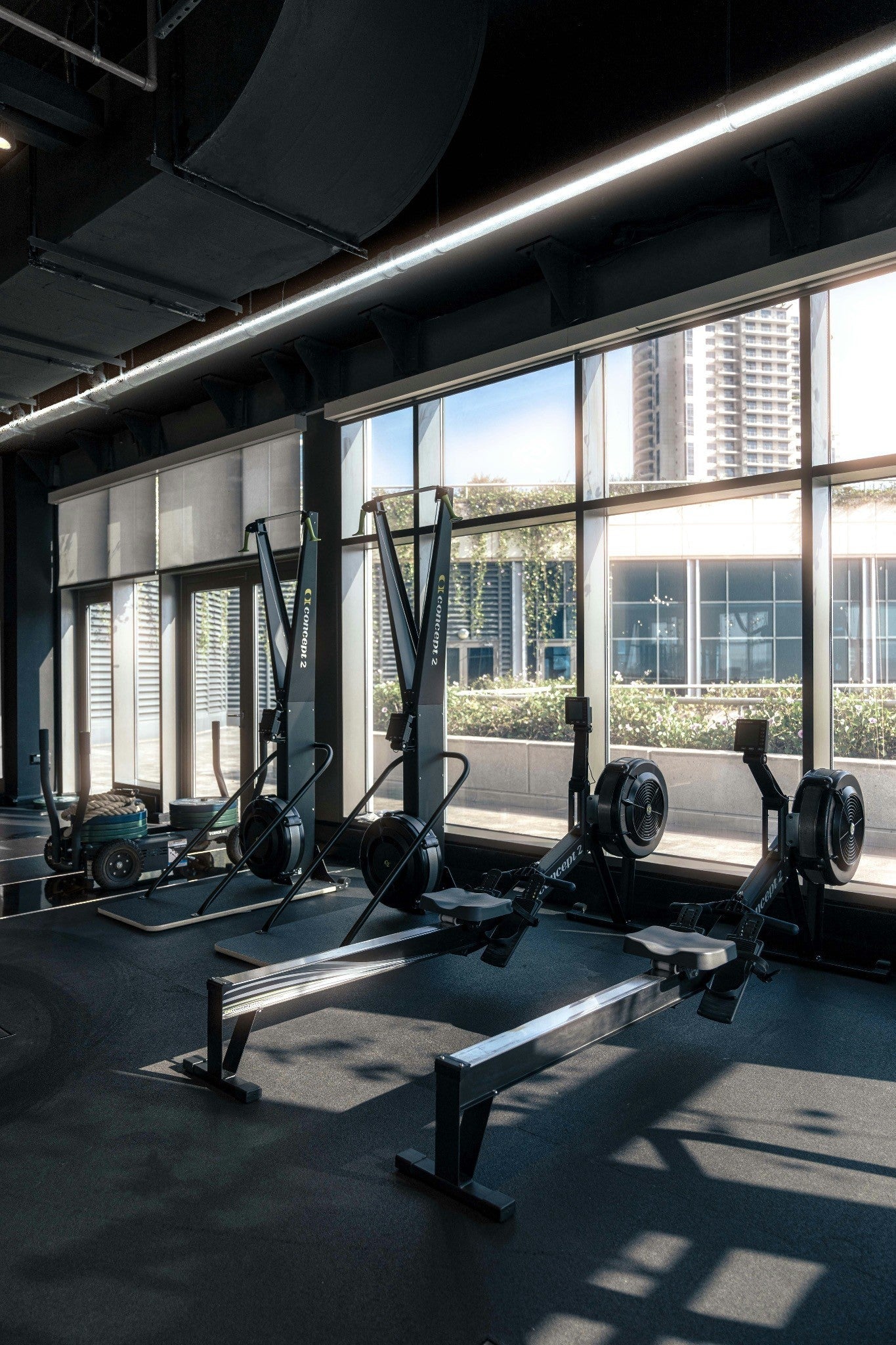 Active Essentials